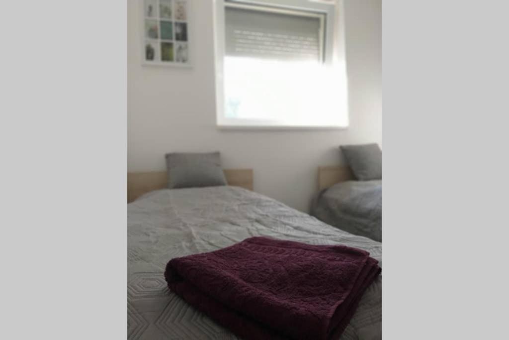 Toelgyerdo Apartman Kismaros المظهر الخارجي الصورة