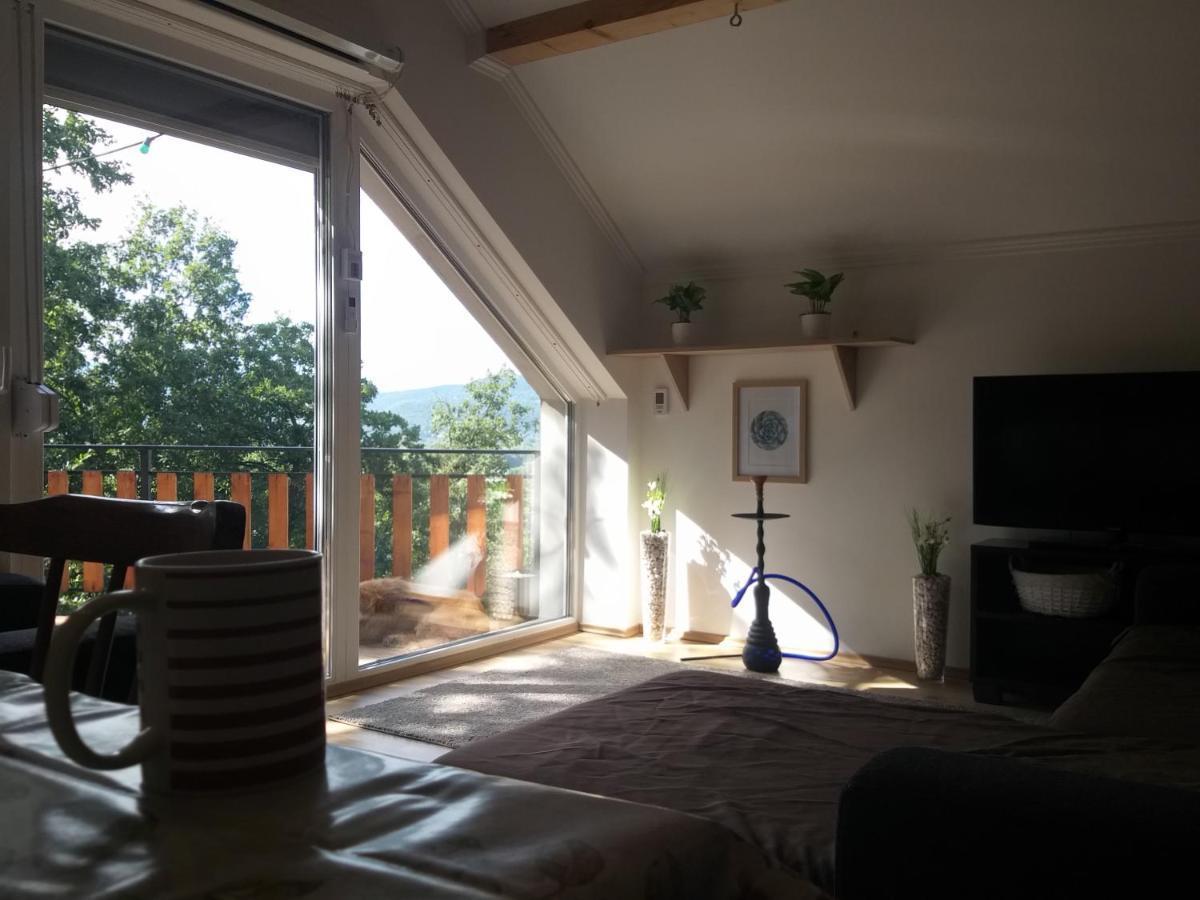 Toelgyerdo Apartman Kismaros المظهر الخارجي الصورة